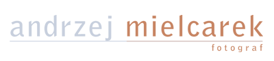 zdjęcia ślubne